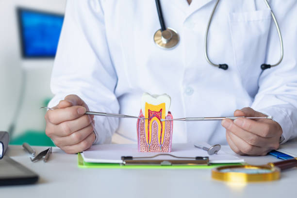 Best 24-Hour Emergency Dentist  in Fussels Corner, FL